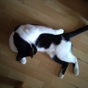 Meet your Posher, Barbara